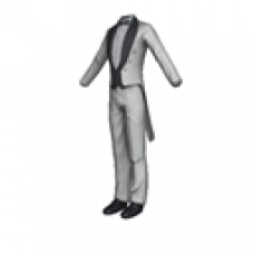 Audi White Formal Suit with Tails